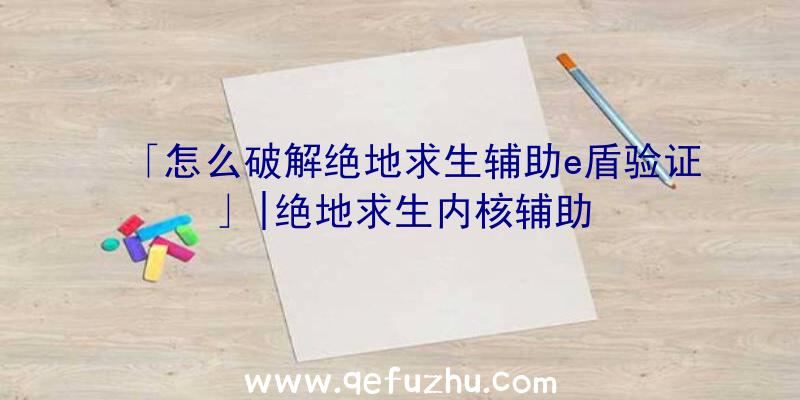 「怎么破解绝地求生辅助e盾验证」|绝地求生内核辅助